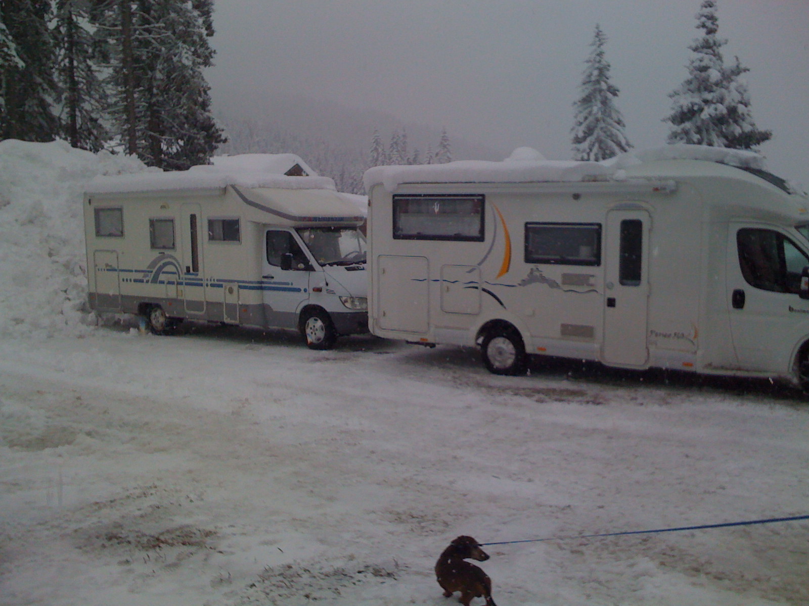 Giovedì 5 marzo. Piazzamento in campeggio col Teo un pò spaesato