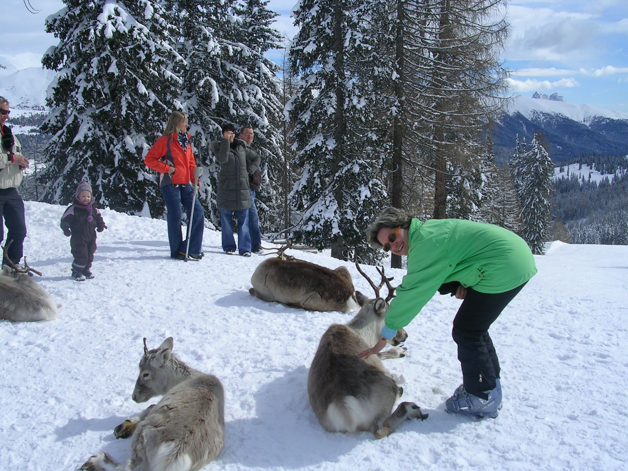 Sabato 7 marzo. Lassù troviamo anche le renne.