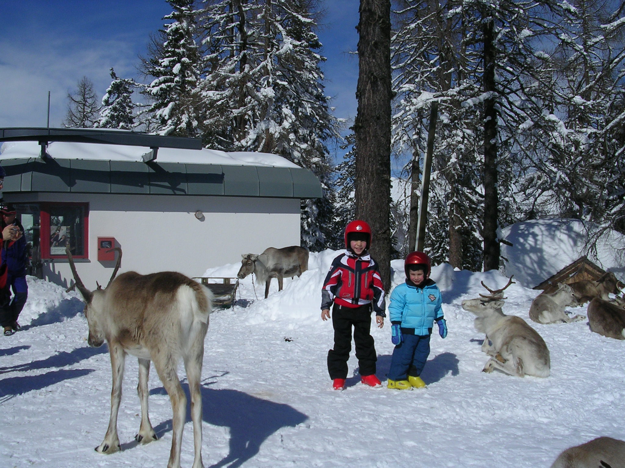Sabato 7 marzo Sebastiano e Leonardo in mezzo alle renne.